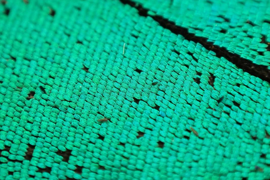 Konya’nın ünlü bahçesindeki detaylar tüyler ürpertti: İyi ki küçükler 18